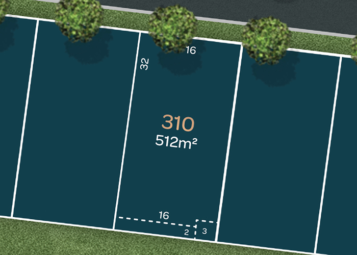 Lot 310
