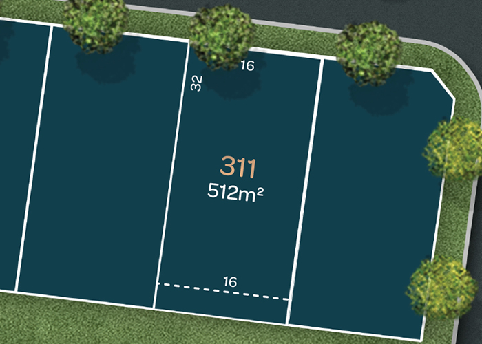 Lot 311